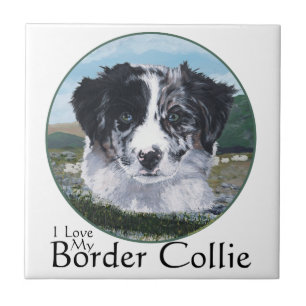 Border Collie at Work Tile