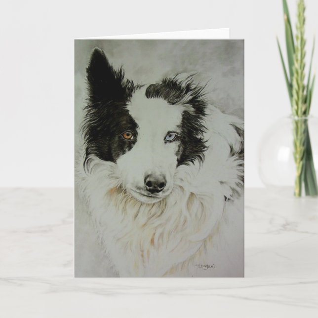 Border Collie/Aussie Greeting Card (Front)