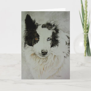 Border Collie/Aussie Greeting Card