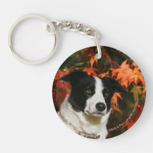 Border Collie Autumn Headshot Keychain