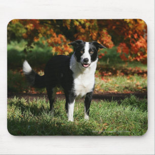 Border Collie Autumn Standing Mouse Pad