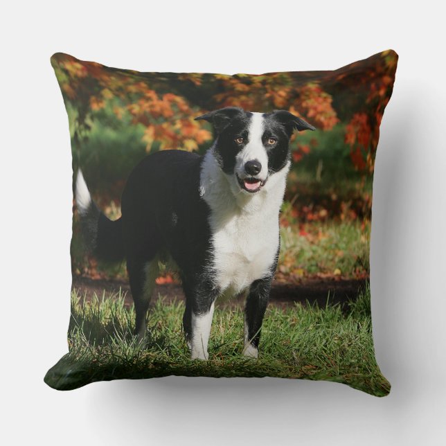 Border Collie Autumn Standing Throw Pillow (Front)