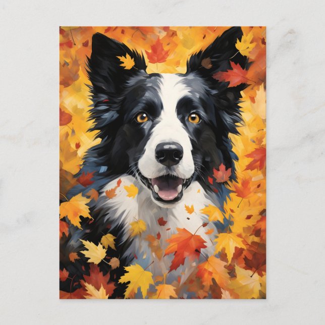 Border Collie Autumn Thanksgiving  Postcard (Front)