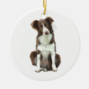 Border Collie (B) - brown and white Ceramic Ornament