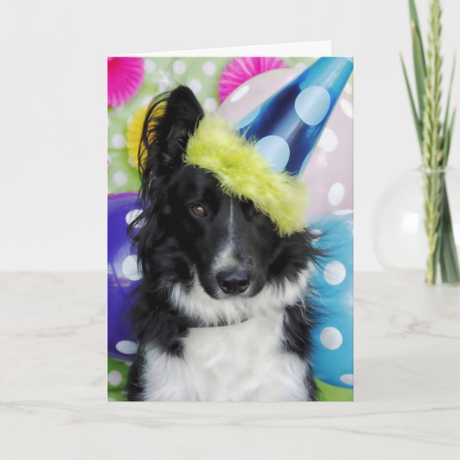 Border Collie Birthday Card (Front)