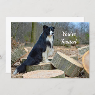 Border Collie Birthday Invitation