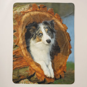 Border Collie Blue Merle Dog Head Photography Pet Sherpa Blanket