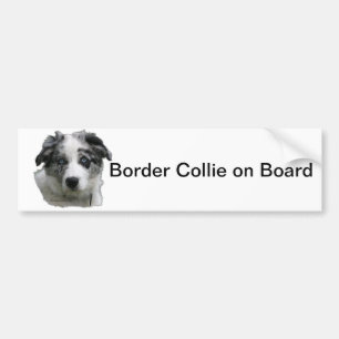 Border collie bumper sticker