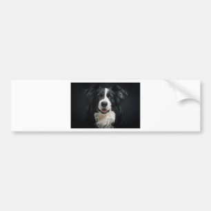 border-collie bumper sticker
