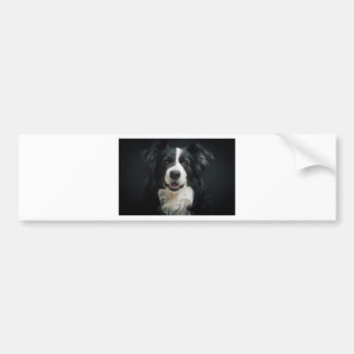 border-collie bumper sticker