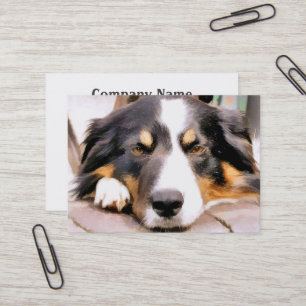 BORDER COLLIE BUSINESS CARD