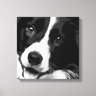Border Collie Canvas Print