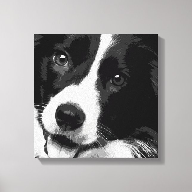 Border Collie Canvas Print (Front)