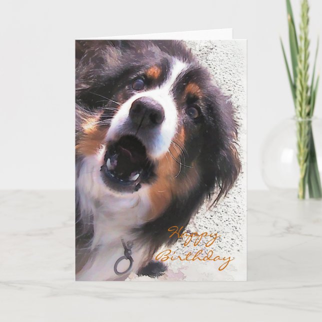 BORDER COLLIE CARD (Front)