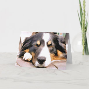 BORDER COLLIE CARD
