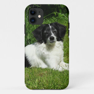 Border Collie iPhone 11 Case