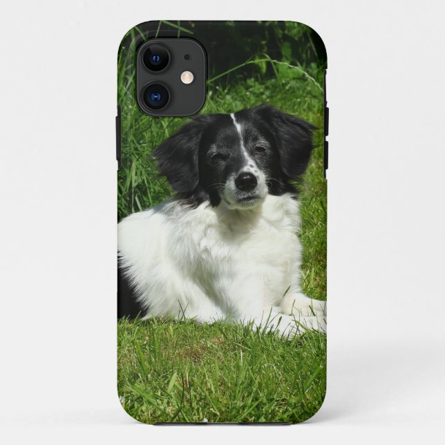 Border Collie Case-Mate iPhone Case (Back)