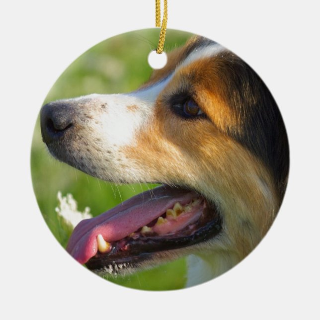 Border Collie Ceramic Ornament (Front)