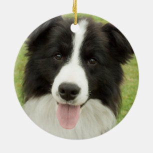 Border Collie Ceramic Ornament