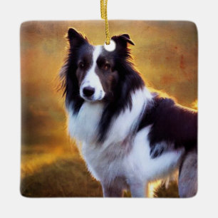 Border collie ceramic ornament