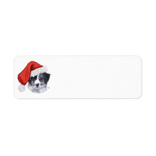 Border Collie Christmas