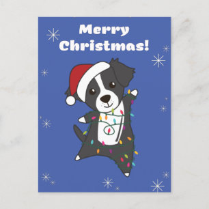 Border Collie Christmas Dog Winter Animals Dogs Holiday Postcard
