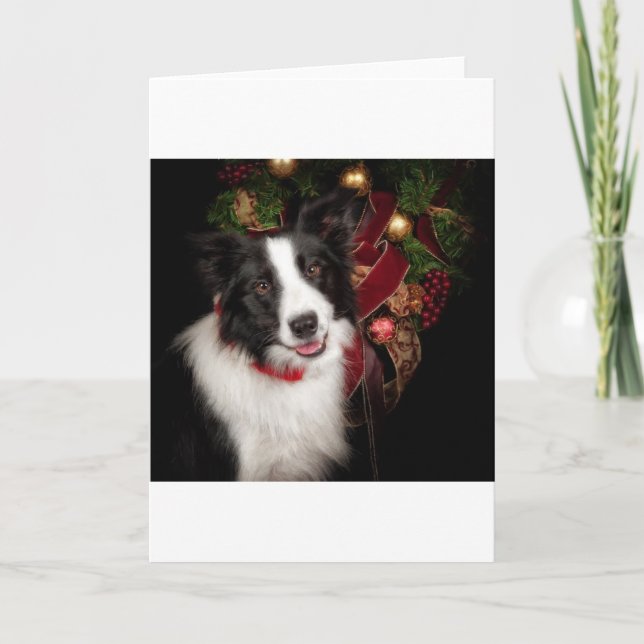 Border Collie Christmas Holiday Card (Front)