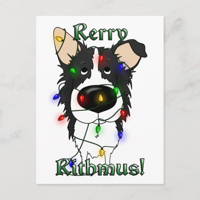 Border Collie Christmas Lights Holiday Postcard (Front)