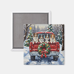 Border Collie Christmas Red Truck Holiday Magnet