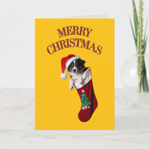 Border Collie Christmas Stocking Card