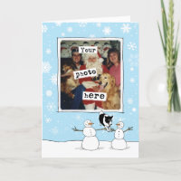 Border Collie Christmas | Your Photo | Cute Dog