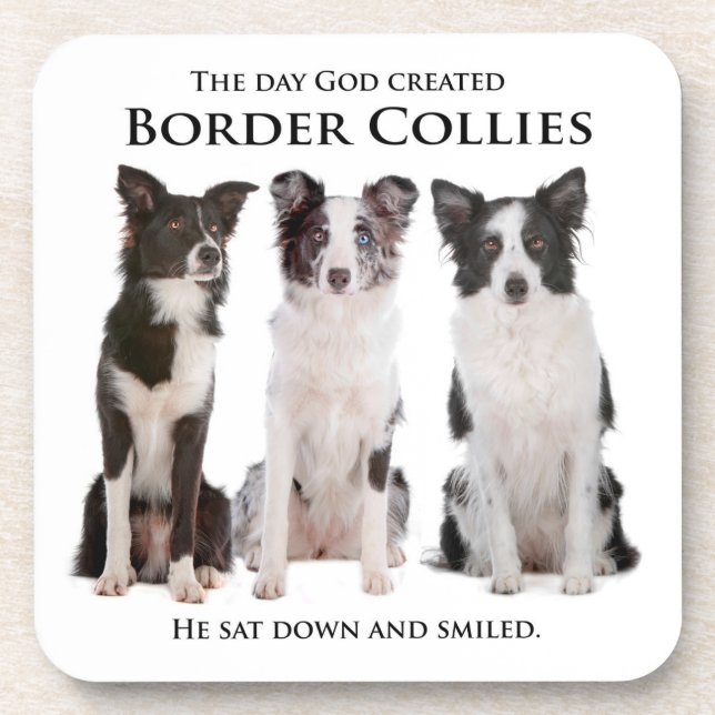 Border Collie Coasters (Front)