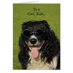 Border Collie Cool Dude Card
