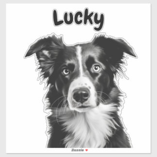 Border Collie Custom Name