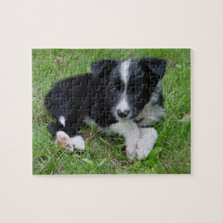 Border Collie Customizable Puzzle! Jigsaw Puzzle