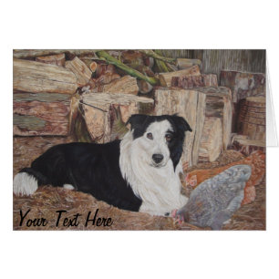border collie dans le rondin jeté avec le portrait
