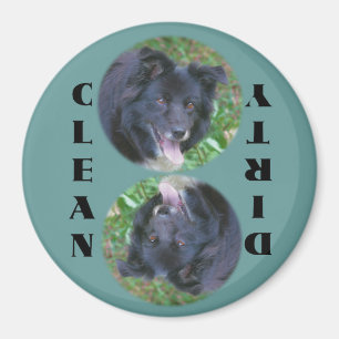 Border Collie Dishwasher Magnet