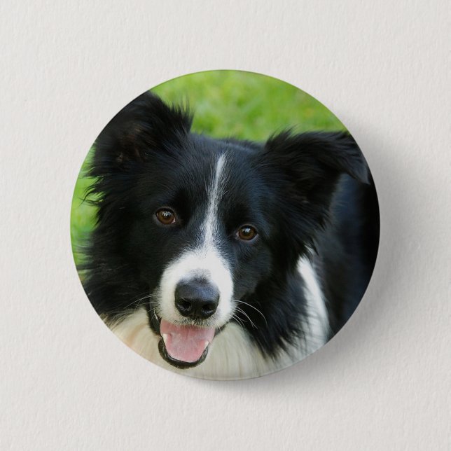 Border Collie Dog Add Text Pet 2 Inch Round Button (Front)