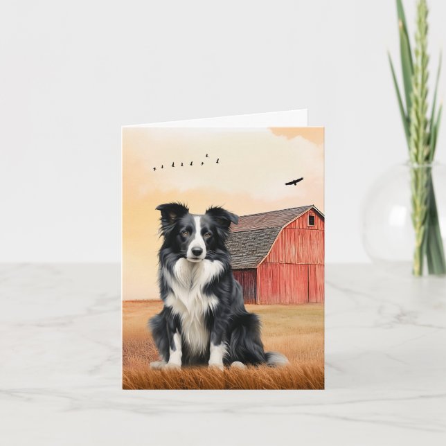 Border Collie Dog and Red Barn Ranch (Devant)