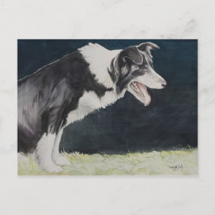 Border Collie Dog Art Postcard
