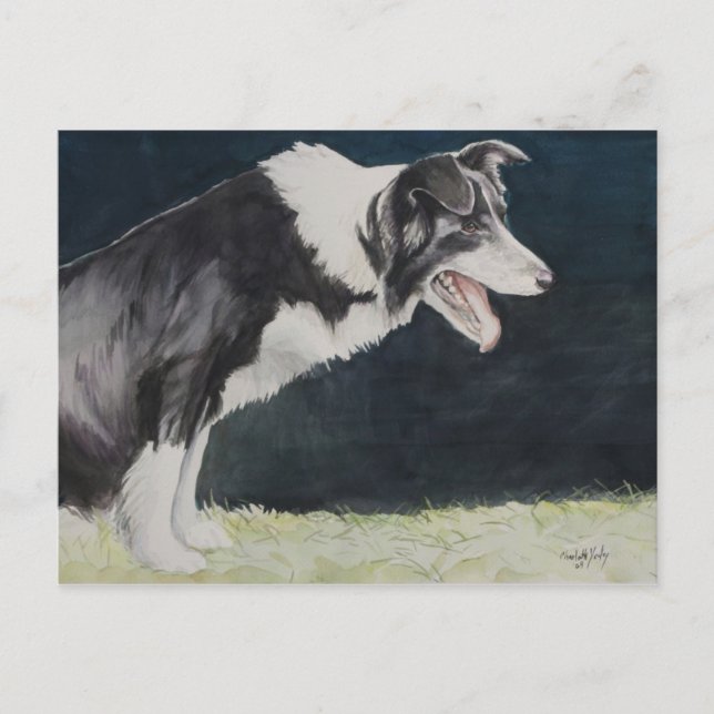 Border Collie Dog Art Postcard (Front)