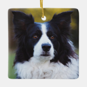 Border Collie Dog Ceramic Ornament