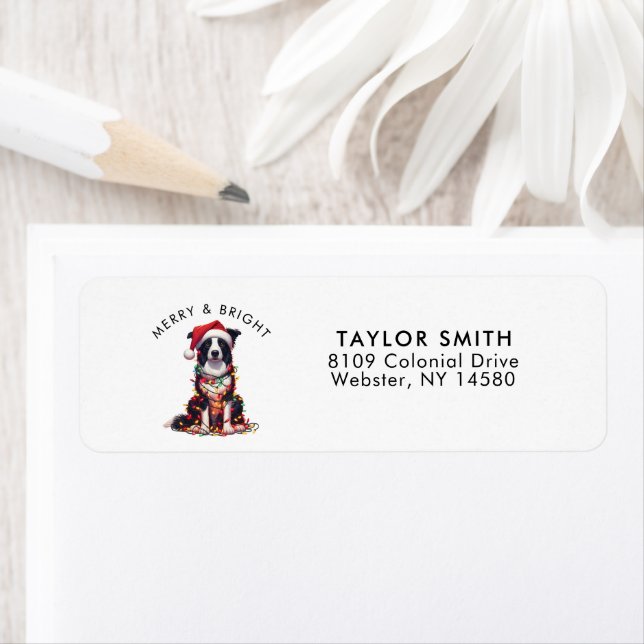 Border Collie Dog Christmas Return Address (Insitu)