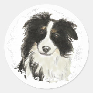 Border Collie - Dog Collection Classic Round Sticker