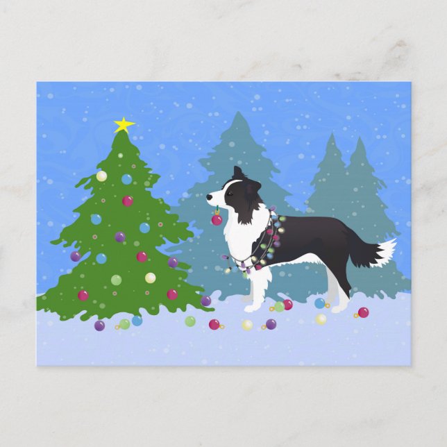 Border Collie Dog Decorating Christmas Tree Holiday Postcard (Front)