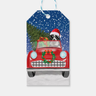 Border Collie  Dog Driving Car In Snow Christmas  Gift Tags