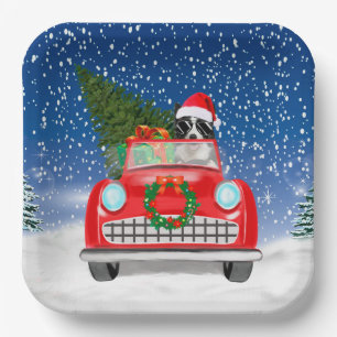 Border Collie  Dog Driving Car In Snow Christmas  Paper Plate