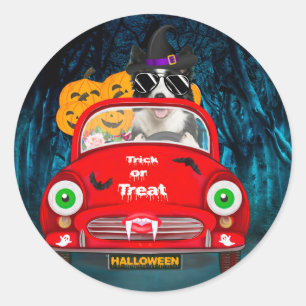 Border Collie Dog Driving Car Scary Halloween Classic Round Sticker