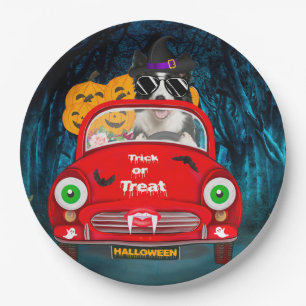 Border Collie Dog Driving Car Scary Halloween  Paper Plate