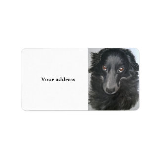 border collie dog face label